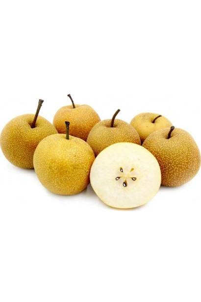 Соковита м’якоть груші ‘Секуї’ у розрізі